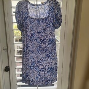 Blue and White Floral Dress